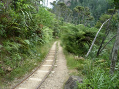 The Woodstock 'Windows' tramway, Karangahake, January 2013